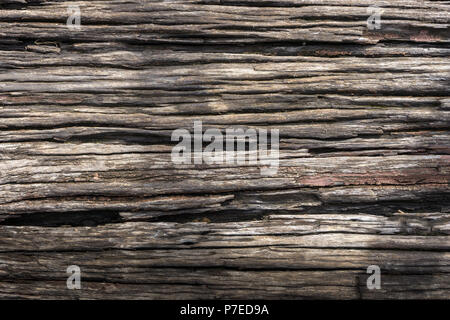 Wet wood. Stock Photo