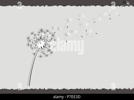 flying dandelion seeds on a gray sheet over a black background Stock Vector