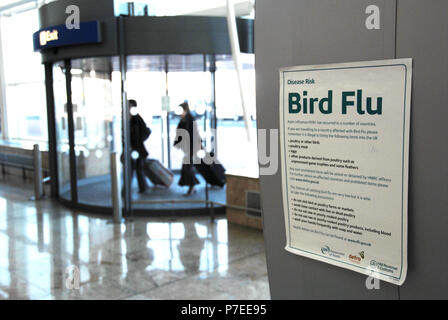 Warning of Bird Flu signs at Doncaster Sheffield Airport. Stock Photo