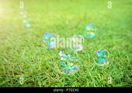 soap bubbles laying on green grass background. A soap bubble is an extremely thin film of soapy water enclosing air that forms a hollow sphere with an Stock Photo