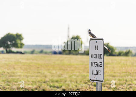 Birding watching to make sure the sign is obeyed Stock Photo