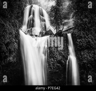 Black and white, high contrast, falls Creek Falls. An impressive, double-tiered, 335-foot high waterfall in the Gifford Pinchot National Forest. Stock Photo