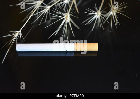 One cigarette with ears of dry grass on a black glossy background. Stock Photo