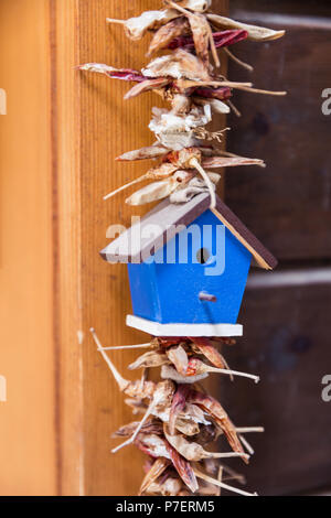 Home made Dried Red Chilli Peppers Hanging Decoration Stock Photo