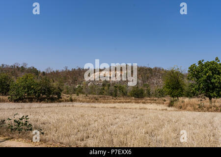 A close view of paddy farm after harvesting near stone mountain with a few trees looking awesome on a sunny day in summer season. Stock Photo