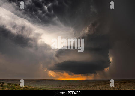 Large, powerful tornadic supercell storm moving over the Great Plains during sunset, setting the stage for the formation of tornados across Tornado Al Stock Photo