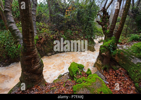 The Hermon Stream (Banias) Nature Reserve, Northern Israel Stock Photo