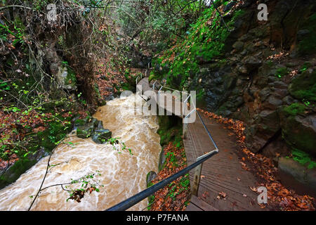 The Hermon Stream (Banias) Nature Reserve, Northern Israel Stock Photo