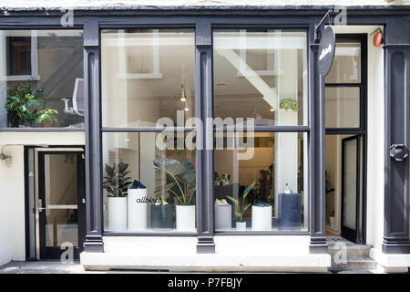 allbirds newbury street