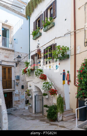 POLIGNANO A MARE, ITALY - AUGUST 11, 2017: cozy alley with plants in picturesque old town of Polignano a mare, Puglia, Italy Stock Photo