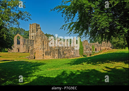 The ruins of Fountains Abbey in North Yorkshire under a clear blue sky. The abbey was largely destroyed during King Henry VIII's reformation. Stock Photo