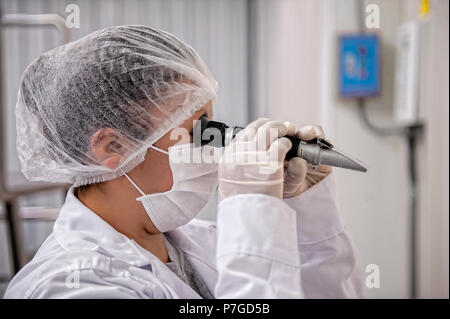 Female scientist looking at scientific sample in laboratory protected with gloves and face mask Stock Photo