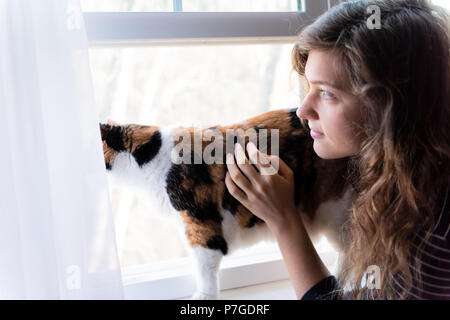 Closeup of young woman bonding with calico cat, standing on windowsill by window looking staring outside behind curtains Stock Photo
