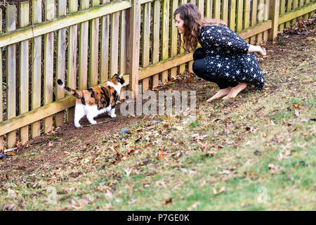 Calico cat walking, woman, female owner sitting, squatting on knees together, curious, exploring house backyard by garden wooden fence, grass in autum Stock Photo