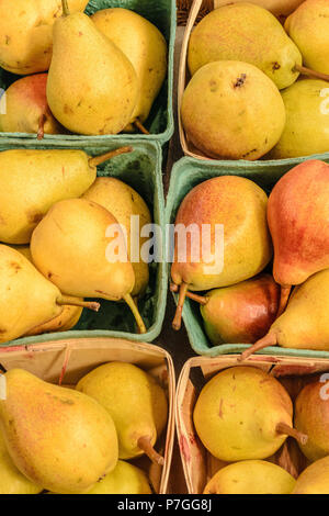 Williams Pears also known as Bartlett Pears out on display in boxes at a Farmers Market in Canada. Stock Photo