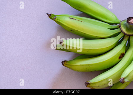 A bunch of young green plantain which resemble bananas, but are larger in size. Can be fried, baked, grilled, boiled either when green or ripened. Stock Photo