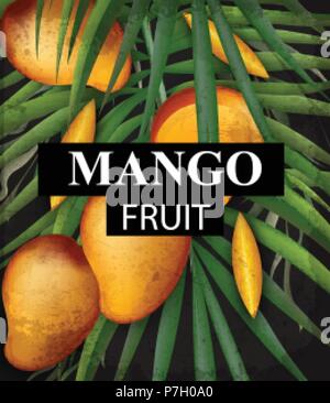 Mango card background. Growing fruits ripe harvest 3d detailed illustration Stock Vector