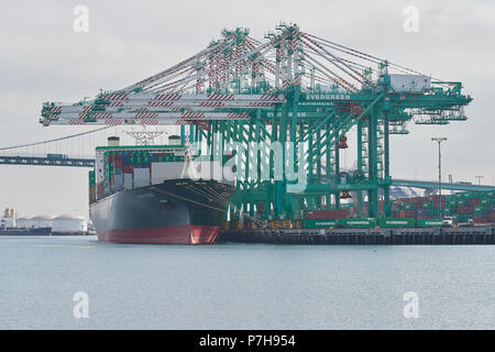 Giant Evergreen Container Ship, EVER ELITE, Loading And Unloading At The EVERPORT Container Terminal In The Port Of Los Angeles, California, USA. Stock Photo