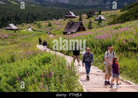 cabaña, Valle de gasienicowa , parque nacional Tatra, voivodato de la Pequeña Polonia, Cárpatos,  Polonia, europe. Stock Photo