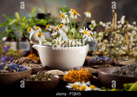 Healing herbs on wooden table, mortar and herbal medicine Stock Photo