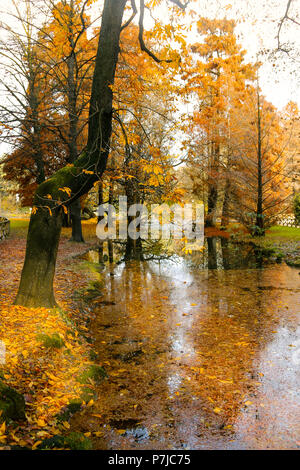 Sempione Park in autumn, Milan, Italy Stock Photo