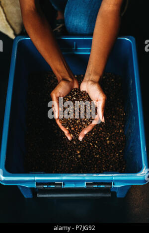 High angle view of woman hands holding coffee beans above container Stock Photo
