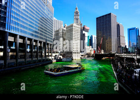 Dyeing of the Chicago river on Saint Patrick's day Stock Photo