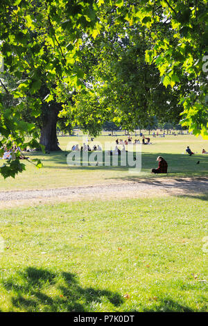 Popular Peckham Rye Common on a sunny, summer's day, in Southwark in south London, England, UK Stock Photo