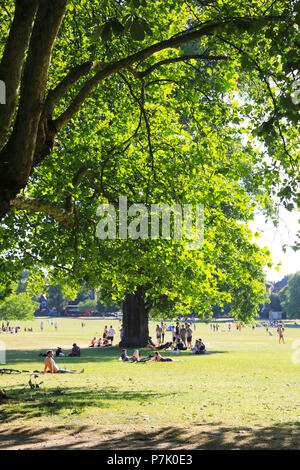 Popular Peckham Rye Common on a sunny, summer's day, in Southwark in south London, England, UK Stock Photo