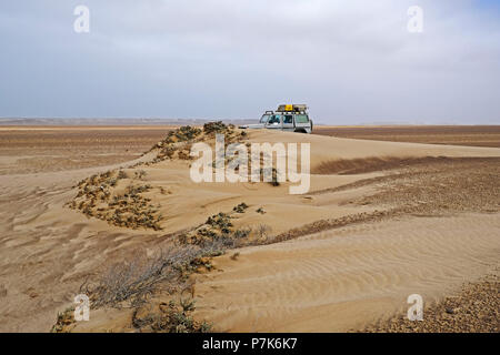 Growth with sand drifts and off-road vehicle in gravel plain at Skeleton Coast in Namibia, Skeleton Coast Park Stock Photo