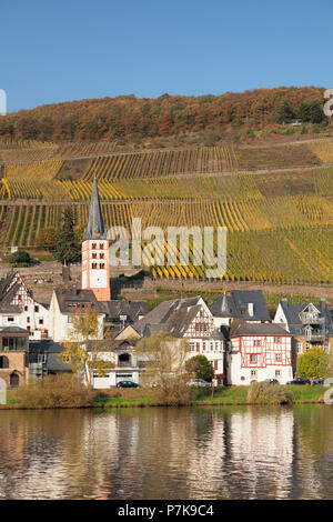 District Merl with vineyards, Zell an der Mosel, Rhineland-Palatinate, Germany Stock Photo