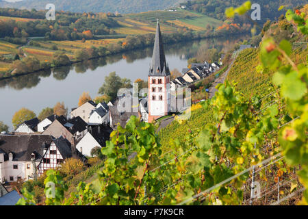 District Merl with vineyards, Zell an der Mosel, Rhineland-Palatinate, Germany Stock Photo