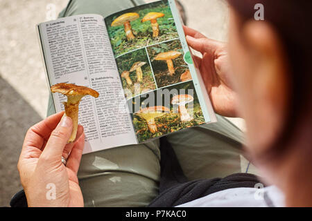 Woman with mushroom in hand and mushroom book Stock Photo