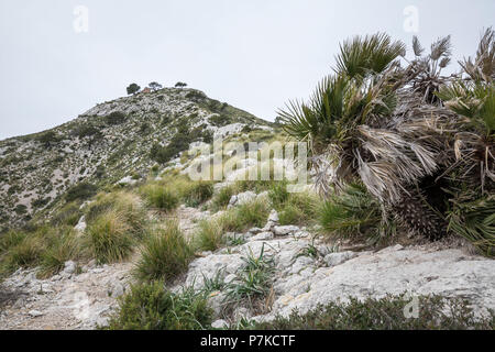 View to the summit of the Talaia d'Alcúdia, hike on the peninsula Alcudia, Mallorca, Balearic Islands, Spain Stock Photo