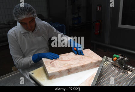 Bremerhaven, Germany. 25th June, 2018. A FROSTA employee standing beside a conveyor, on which frozen blocks of fish are transported to be processed into fish sticks. Credit: Carmen Jaspersen/dpa/Alamy Live News Stock Photo