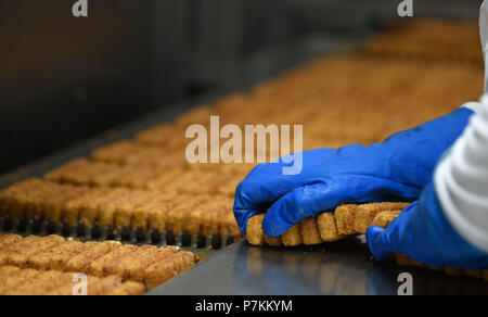 Bremerhaven, Germany. 25th June, 2018. FROSTA employees sorting fish sticks on a conveyor. Credit: Carmen Jaspersen/dpa/Alamy Live News Stock Photo