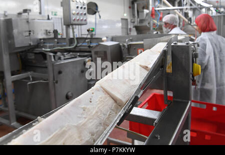 Bremerhaven, Germany. 25th June, 2018. FROSTA employees standing beside a conveyor, on which frozen blocks of fish are transported to be processed into fish sticks. Credit: Carmen Jaspersen/dpa/Alamy Live News Stock Photo