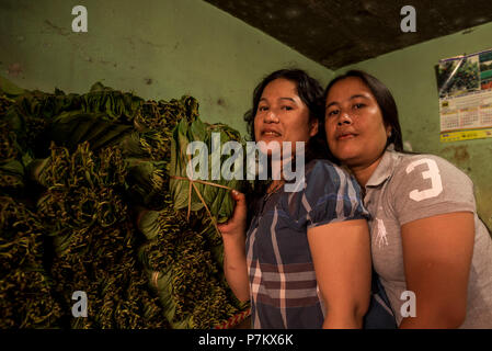 Two female friends selling betel nuts and leaves at the market of Kutacane posing in front of the camera Stock Photo