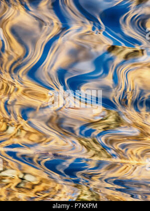 Reed reflecting in a lake in Mecklenburg Stock Photo - Alamy