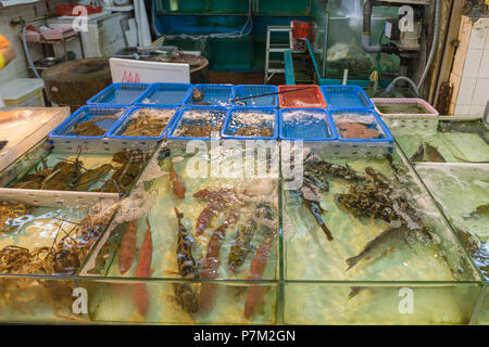 live fish shop