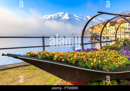 Colored flowers in bloom on a traditional Como Lake boat / Lucia,. Domaso, Como Lake, Lombardy, Italy, Europe, Stock Photo