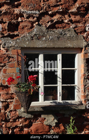 Masonry (mortar) bee damage to a crumbling brick wall in an old 17th C house in England. White framed window and hanging basket with red geranium. Stock Photo