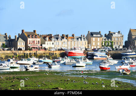 France, Manche, Cotentin, Barfleur, labeled Les Plus Beaux Villages de France (The Most Beautiful Villages of France), Harbour Stock Photo