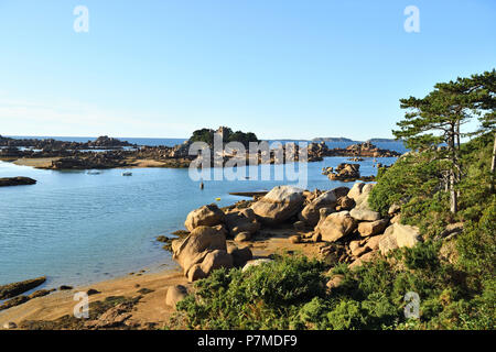 France, Cotes d'Armor, Perros-Guirec, Ploumanac'h, Cote de Granit Rose (Pink Granite Coast), Island and castle of Costaeres Stock Photo