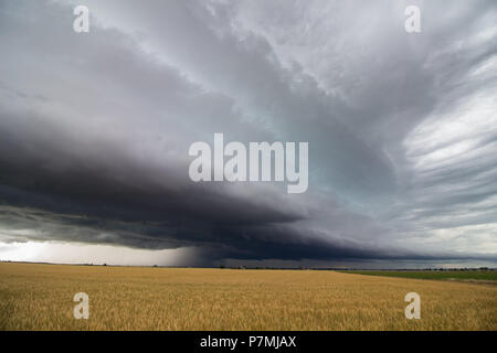 A line of heavy thunderstorms fills the sky over a wheat field in eastern Colorado. Stock Photo