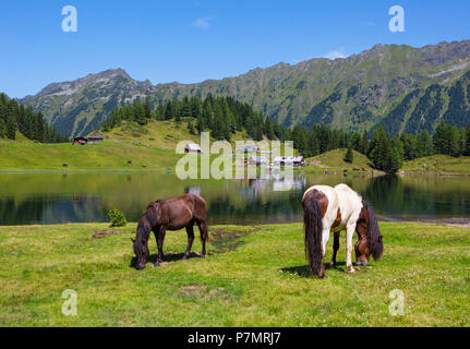 Austria, Styria, Schladming, Obertal, Duisitzkarsee, mountain lake, Duisitzkar hut, Fahrlechner hut, Schladminger Tauern, Horses Stock Photo