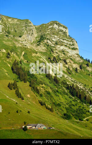 Switzerland, Canton of Fribourg, Gruyeres, the Moleson, 2002m, emblematic summit of La Gruyeres, Farm of high mountain pasture Stock Photo