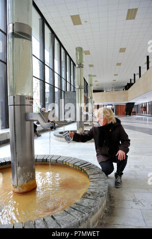 Czech republic, west Bohemia, historic old town of Karlsbad, Karlovy Vary, public baths city, Vridlo spring (Sprudel), Vridelni Kolonada Stock Photo