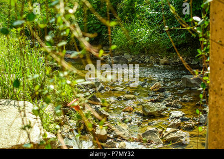 Running water in rocky creek behind blurred shrubbery; Midtown Park, Charlotte, NC Stock Photo