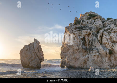 Cyprus, Paphos, Petra tou Romiou also known as Aphrodite's Rock at sunrise Stock Photo